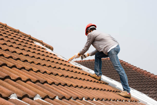 Best Metal Roofing Installation  in Folly Beach, SC